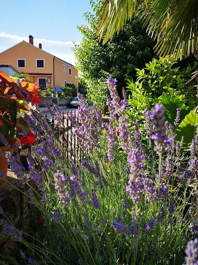 Apartmani Rita Studio Novigrad Istria 0*,  كرواتيا
